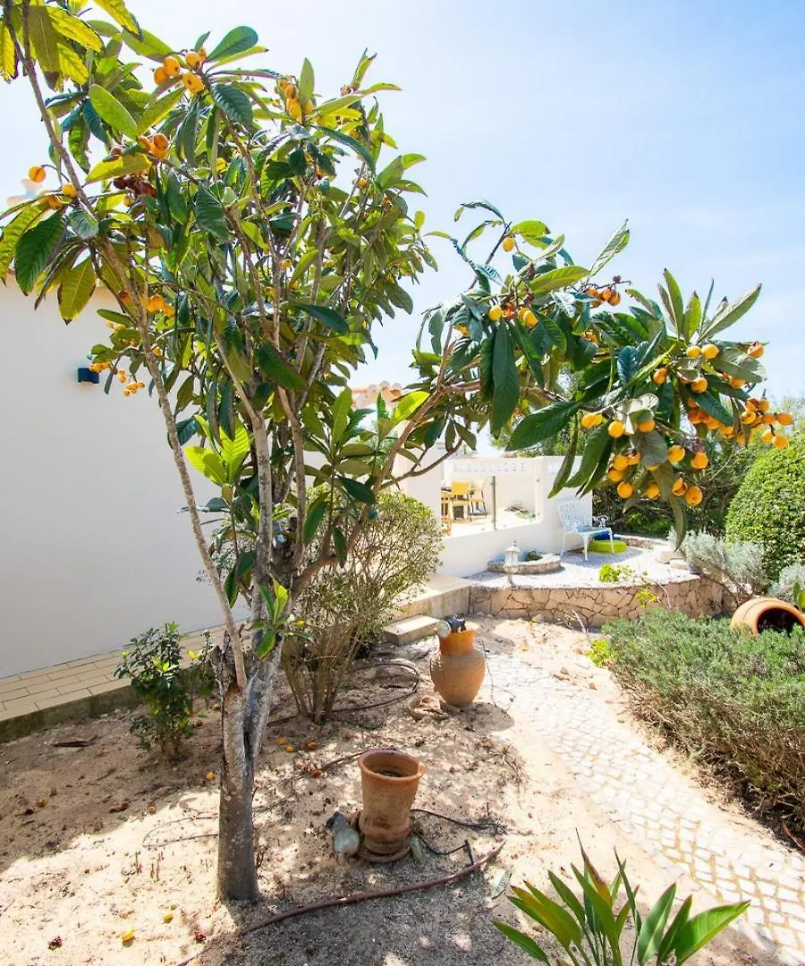 67 Adm - 3 Bed Villa Walking Distance To Carvoeiro Carvoeiro